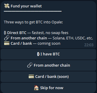 Deposit picker shown right after the wallet is created.